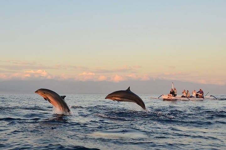 North Bali Sunrise Dolphin Tour, Wanagiri Photo Spots & Banyumala Waterfalls photo 2