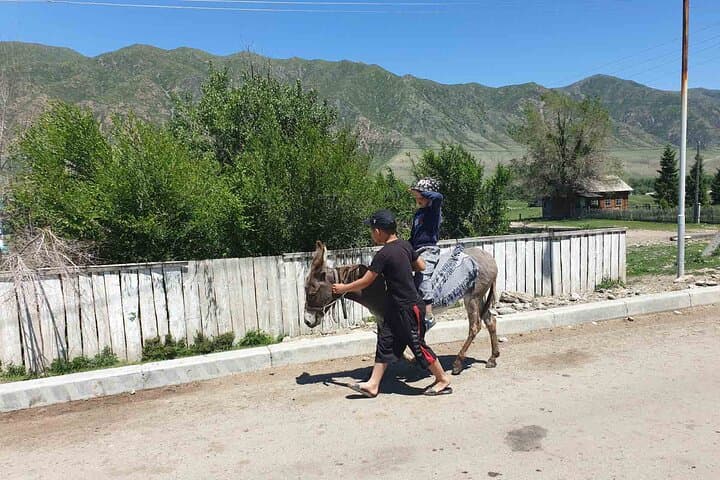Three-Day Almaty Region Loop: Altyn Emel, Charyn Canyon, Kolsai & Kaindy Lakes photo 5
