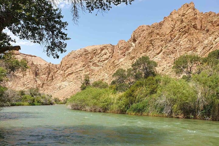 Three-Day Almaty Region Loop: Altyn Emel, Charyn Canyon, Kolsai & Kaindy Lakes photo 6