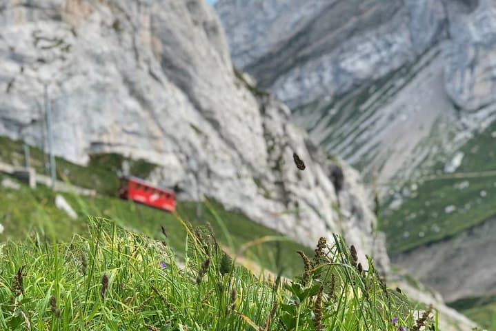 Mount Pilatus & Lake Lucerne Private Day Tour from Basel