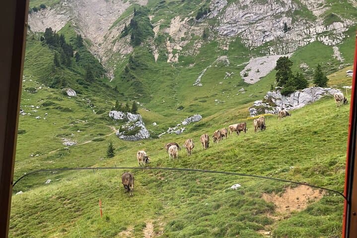Mount Pilatus & Lake Lucerne Private Day Tour from Basel photo 6