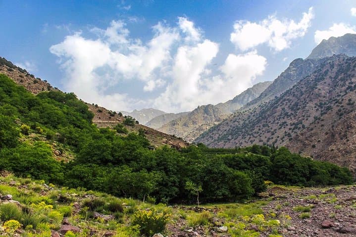 High Atlas 2-Day Trek: Imlil to Tizi M'zzik and Azzaden Valleys photo 3