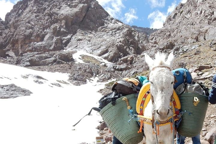 3-Day High Atlas Trek from Marrakech: Berber Villages, Tizi Passes & Imlil Waterfall photo 4