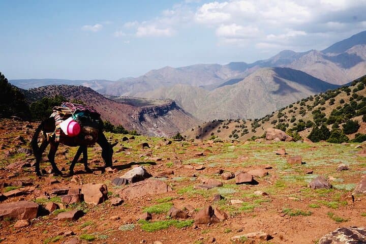 3-Day High Atlas Trek from Marrakech: Berber Villages, Tizi Passes & Imlil Waterfall photo 2