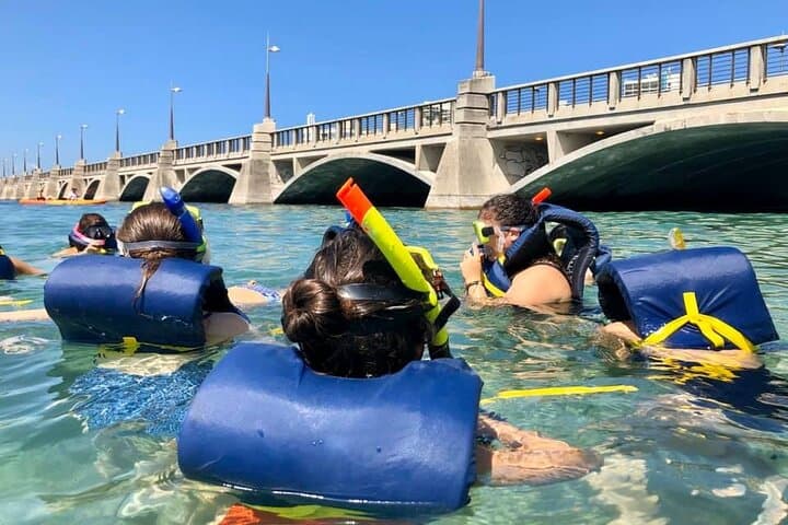 Snorkel with Manatees: Guided Condado Lagoon Tour in San Juan photo 4
