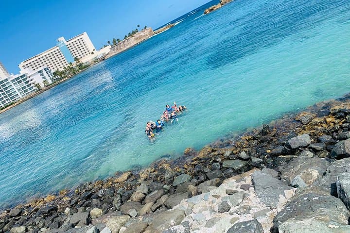 Snorkel with Manatees: Guided Condado Lagoon Tour in San Juan photo 3
