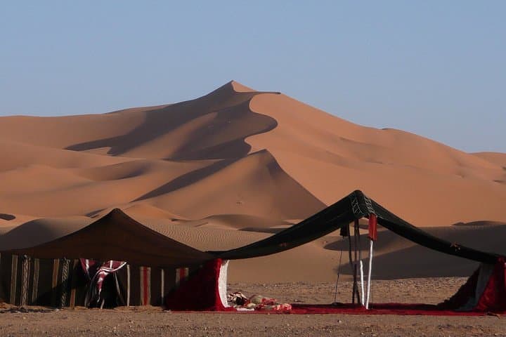 Abu Dhabi Desert Safari: Dune Bashing, Camel Ride & BBQ Evening photo 2