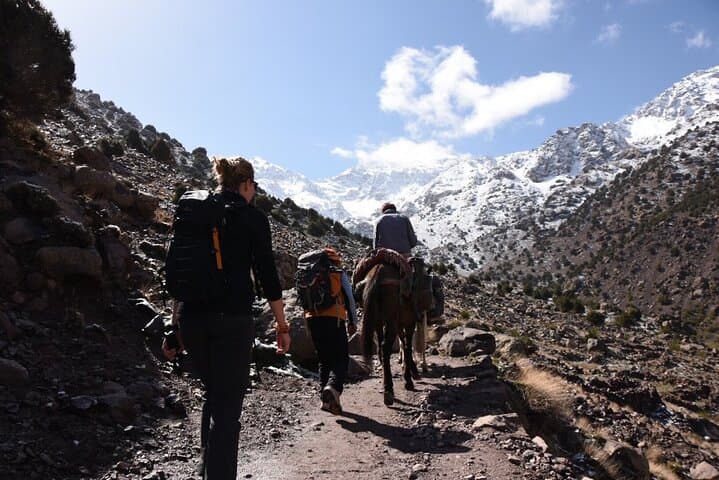 Day Trek from Marrakech to the High Atlas: Berber Villages, Juniper Forests, and Imlil Valley photo 3