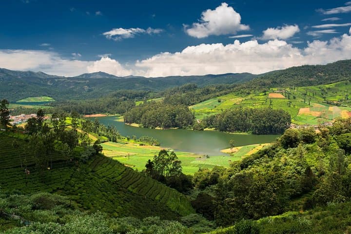 Ooty Full-Day Sightseeing: Botanical Garden, Doddabetta & Pykara Waterfalls