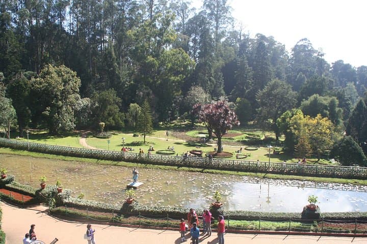 Ooty Full-Day Sightseeing: Botanical Garden, Doddabetta & Pykara Waterfalls photo 2