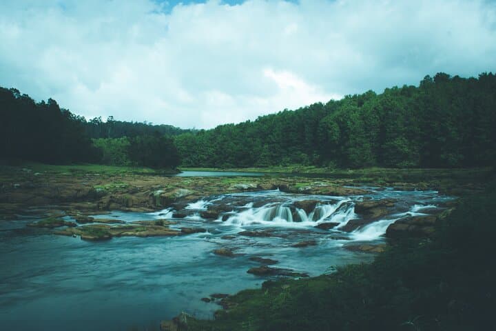 Ooty Full-Day Sightseeing: Botanical Garden, Doddabetta & Pykara Waterfalls photo 4