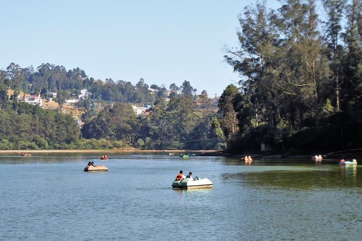 Ooty Full-Day Sightseeing: Botanical Garden, Doddabetta & Pykara Waterfalls photo 5