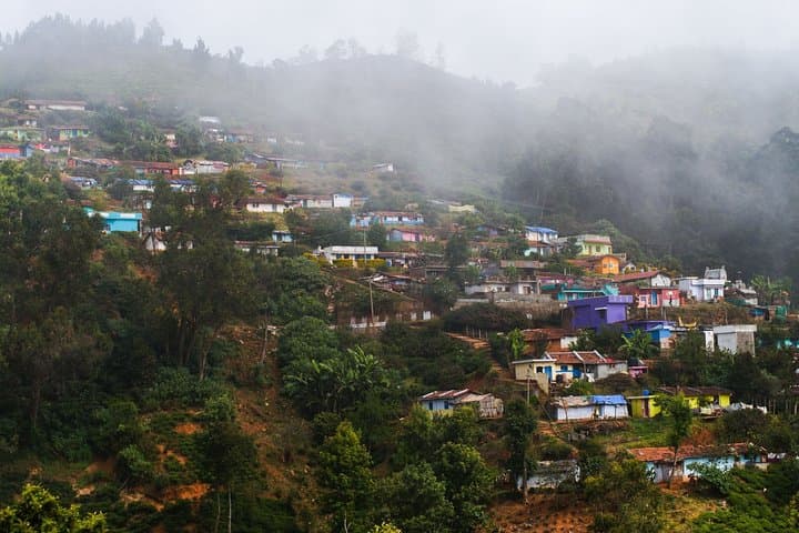 Ooty Full-Day Sightseeing: Botanical Garden, Doddabetta & Pykara Waterfalls photo 6