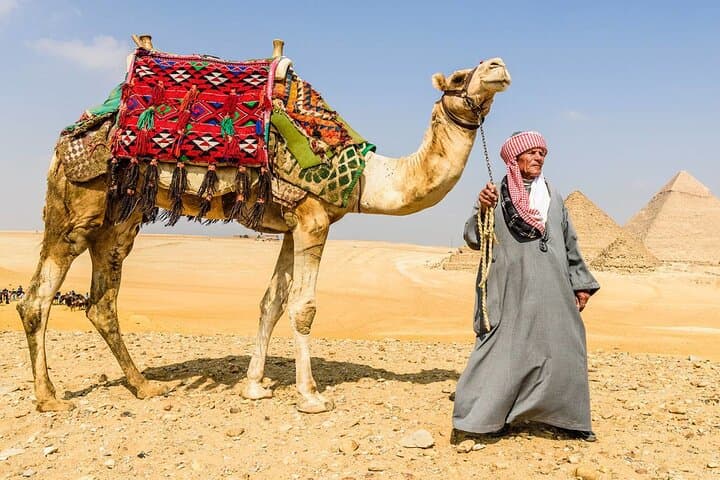 Egypt and Dubai in 7 Days: Pyramids, Museum, Desert Safari & Modern Dubai photo 3