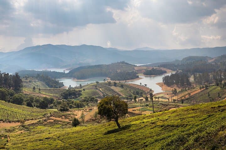Day Trip to Coonoor: Tea Estates, Waterfalls & Dolphin's Nose from Ooty