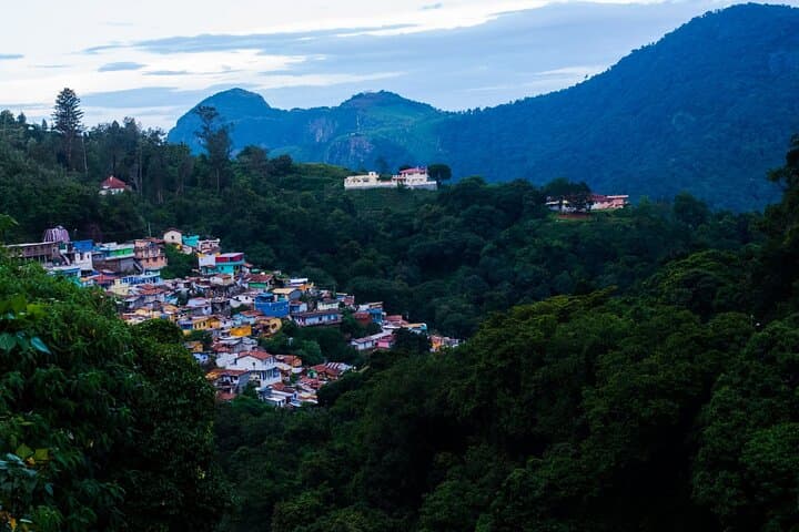 Day Trip to Coonoor: Tea Estates, Waterfalls & Dolphin's Nose from Ooty photo 4