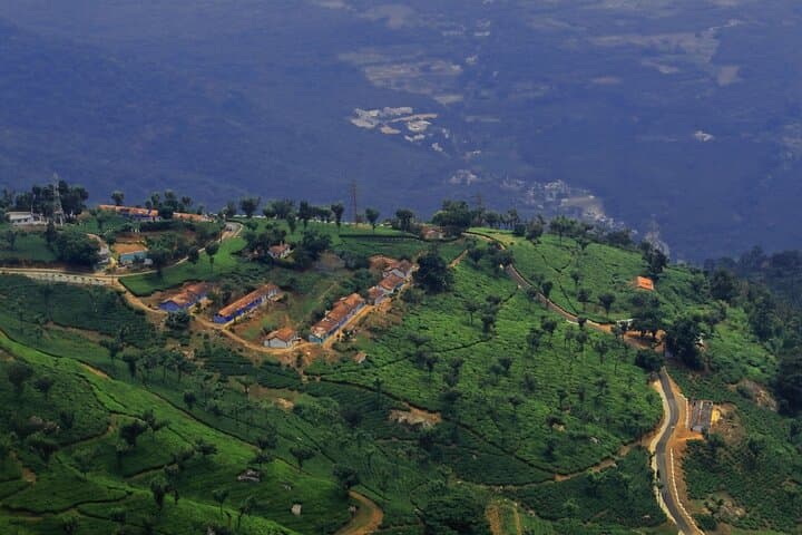 Day Trip to Coonoor: Tea Estates, Waterfalls & Dolphin's Nose from Ooty photo 5