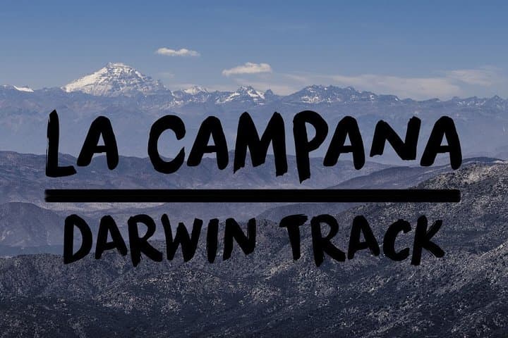 La Campana Full-Day Trek: Chile's Centennial Palms & Wildlife from Santiago photo 5