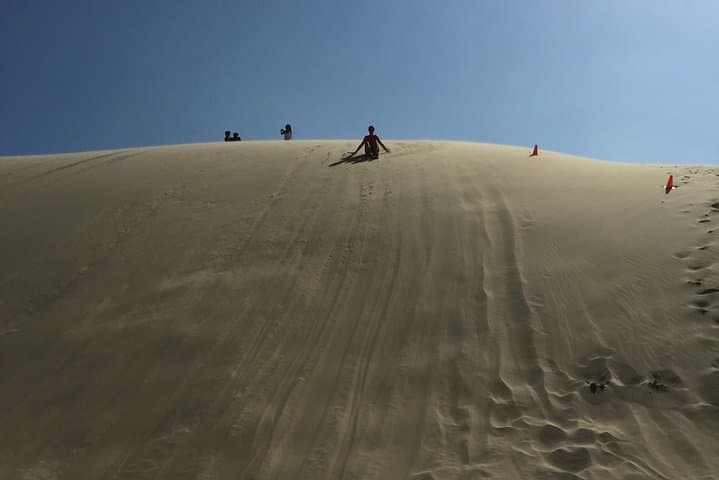 Port Stephens Private Day Tour from Sydney — Dolphins, Whales & Sandboarding photo 3
