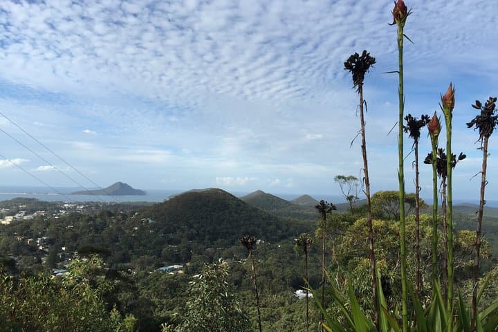 Port Stephens Private Day Tour from Sydney — Dolphins, Whales & Sandboarding photo 5