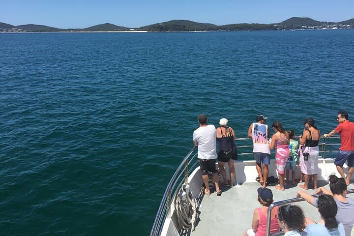 Port Stephens Private Day Tour from Sydney — Dolphins, Whales & Sandboarding photo 2