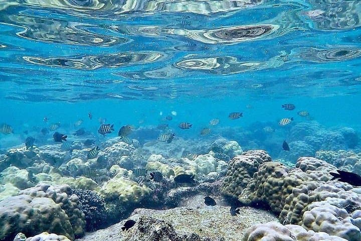 Phu Quoc North Islands Snorkel and Fishing Full-Day Cruise photo 1