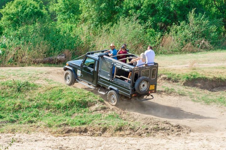 Sigiriya Rock and Wild Elephant Safari — Day Trip from Habarana photo 5