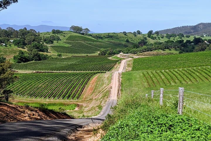 Hunter Valley Wine & Cheese Tour — Tastings in Pokolbin, Lovedale, Broke & Wollombi