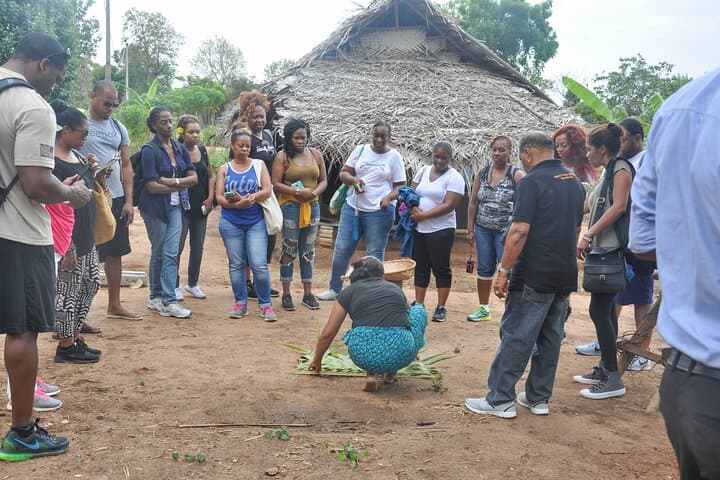 Climb Sigiriya Rock and Experience Village Life: Full-Day Tour from Habarana photo 6