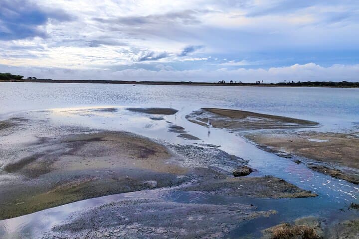 Coastal Birding and Jeep Safari: Bundala National Park from Dikwella photo 3