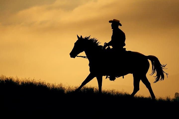 Horseback Riding on Luxor's West Bank: Scenic 1-Hour Farm & Field Ride photo 2