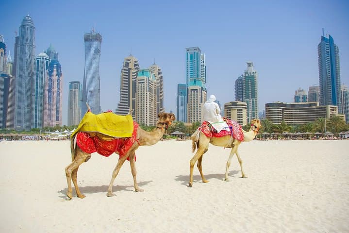Dubai City Tour and Red Dune Desert Safari with BBQ Dinner photo 3