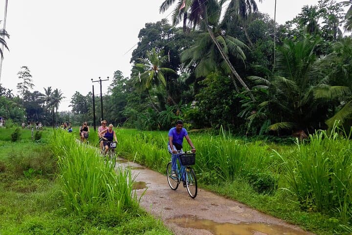 Galle Lagoon Village Cycling Tour: Mangroves, Paddy Fields & Local Life photo 2
