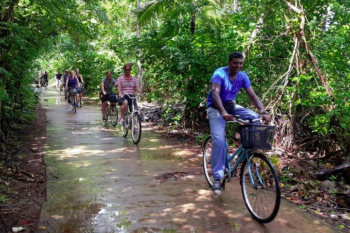 Galle Lagoon Village Cycling Tour: Mangroves, Paddy Fields & Local Life photo 3