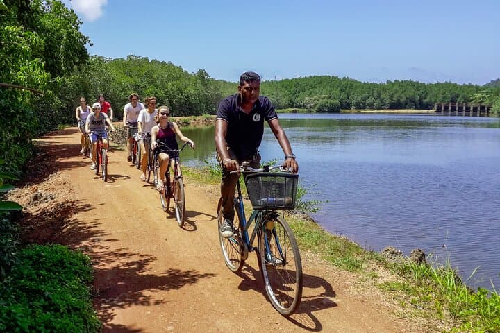 Galle Lagoon Village Cycling Tour: Mangroves, Paddy Fields & Local Life photo 1