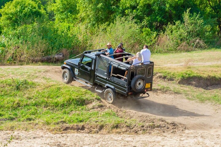 Polonnaruwa Ancient Kingdom and Minneriya Wild Elephant Safari — Day Tour from Habarana photo 3