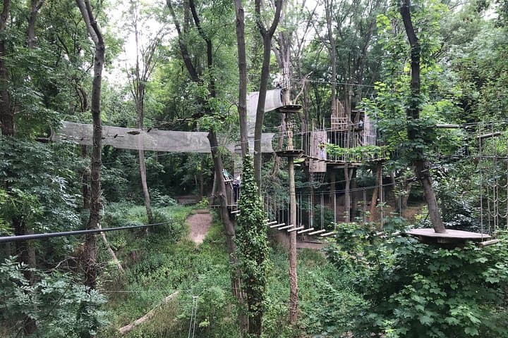 Rueil-Malmaison Tree Top Adventure: Zip Lines, Rope Bridges & High-Ropes Course photo 3