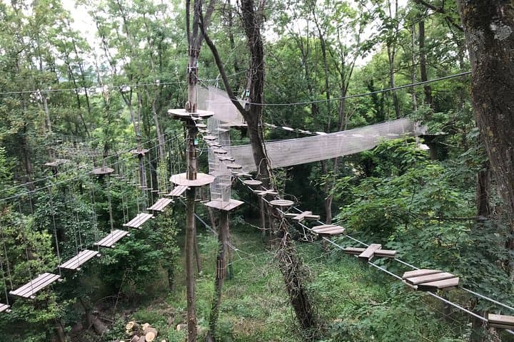 Rueil-Malmaison Tree Top Adventure: Zip Lines, Rope Bridges & High-Ropes Course photo 4