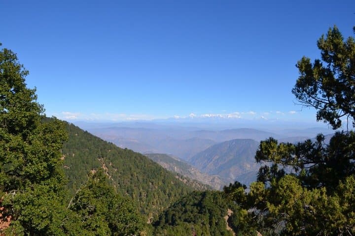 Forest Bathing & Naini Peak: 4.5-Hour Guided Nature Walk in Nainital photo 4