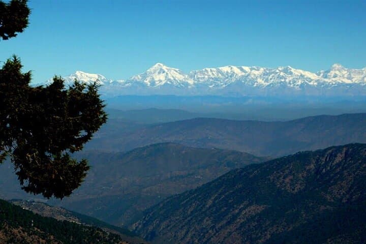 Forest Bathing & Naini Peak: 4.5-Hour Guided Nature Walk in Nainital photo 3