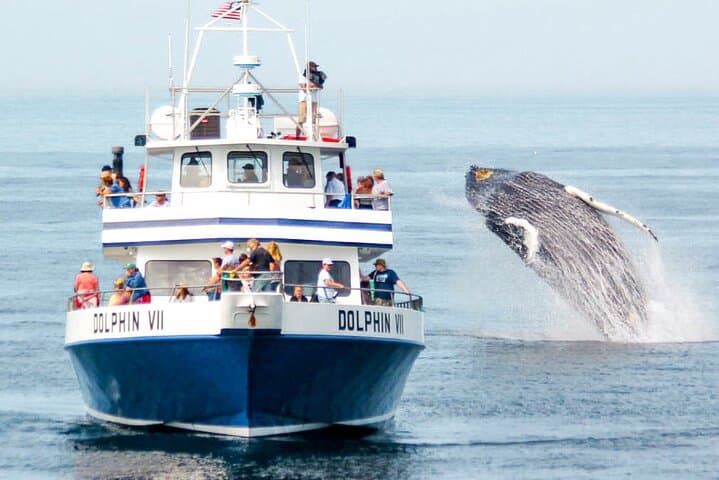 Overnight Yacht in Mirissa: Whale-Watching Catamaran & Weligama Bay Escape