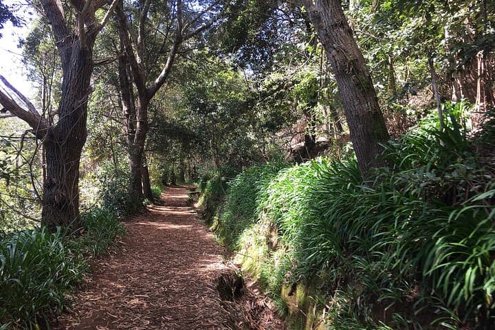 Vale Paraiso (Paradise Valley) Levada Walk — Camacha to Funchal Views
