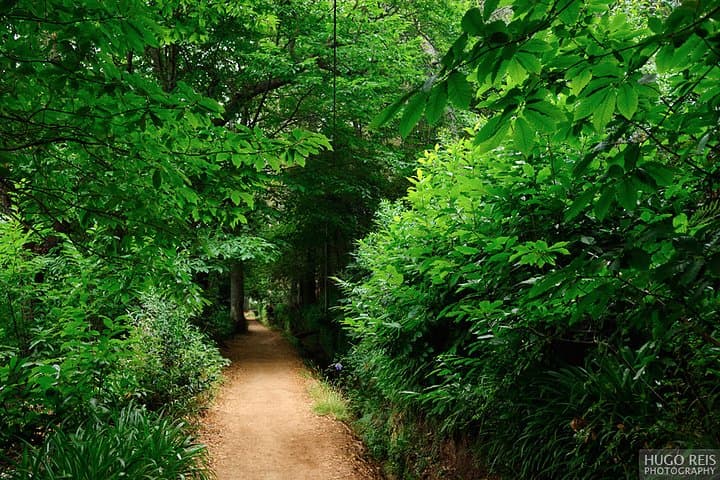 Vale Paraiso (Paradise Valley) Levada Walk — Camacha to Funchal Views photo 6