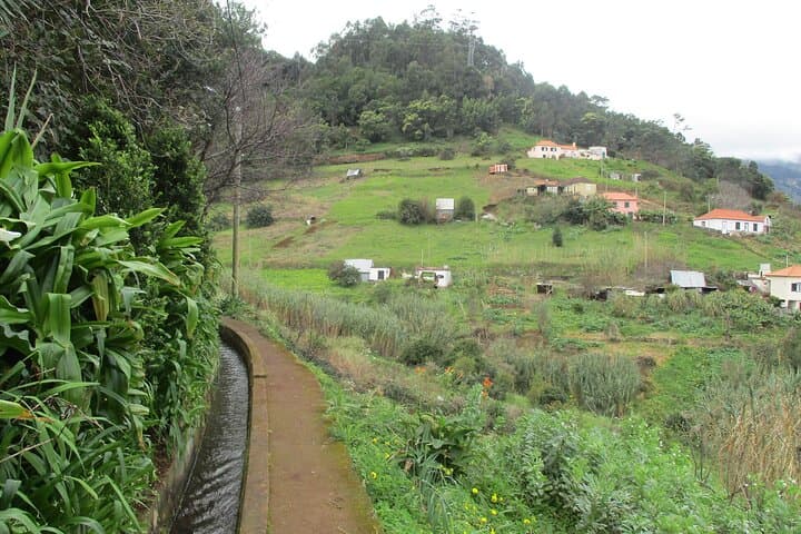 Levada da Referta: Easy Castelejo Walk on Madeira’s North Slopes photo 2