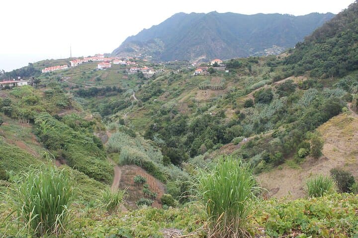 Levada da Referta: Easy Castelejo Walk on Madeira’s North Slopes photo 3