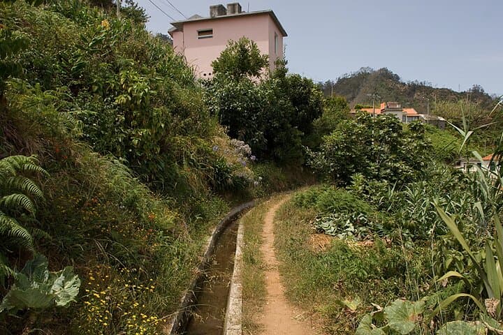 Levada da Referta: Easy Castelejo Walk on Madeira’s North Slopes photo 6