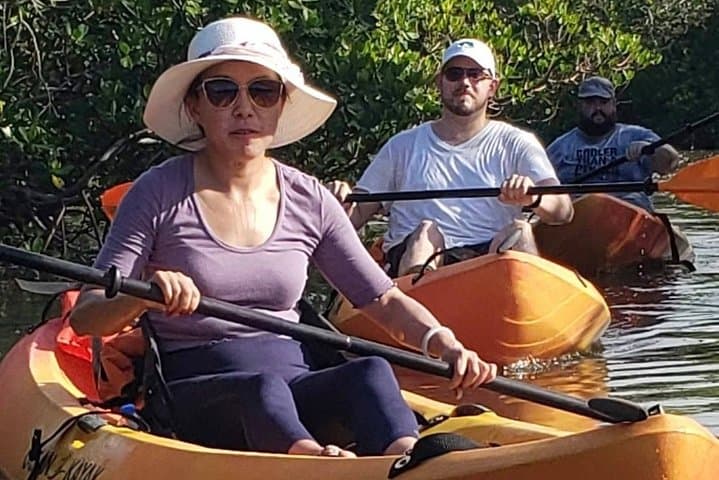 Guided Kayak Tour Through the Naples Mangroves — 2-Hour Wildlife Paddle photo 6