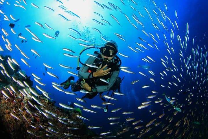 Full-Day Red Sea Small-Group Diving Experience from Hurghada photo 4