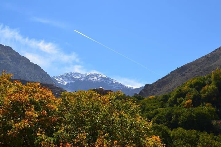 Ourika Valley Day Trip from Marrakech: Atlas Mountains, Waterfalls & Berber Villages photo 5
