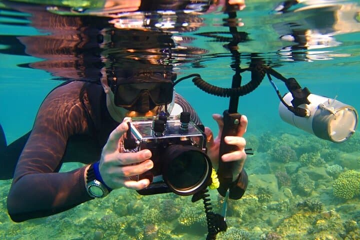 Paradise Island Full-Day Snorkel & Dolphin Watch from Hurghada